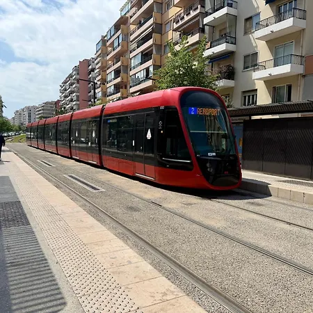 Grand De 30 M2 Promenade Des Daire